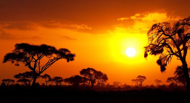 banner-blog-life-changing