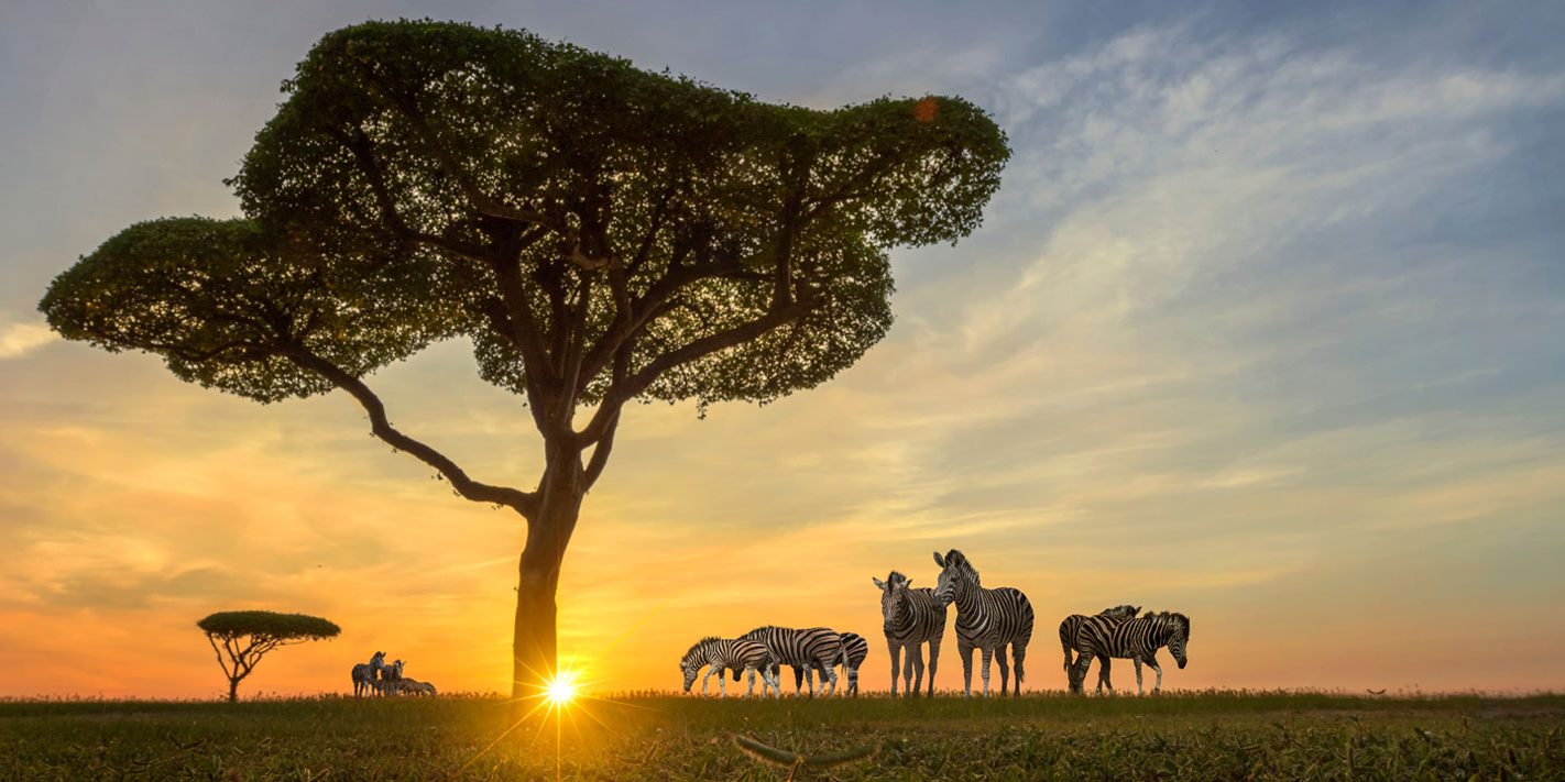 the-great-selous-and-zanzibar-new